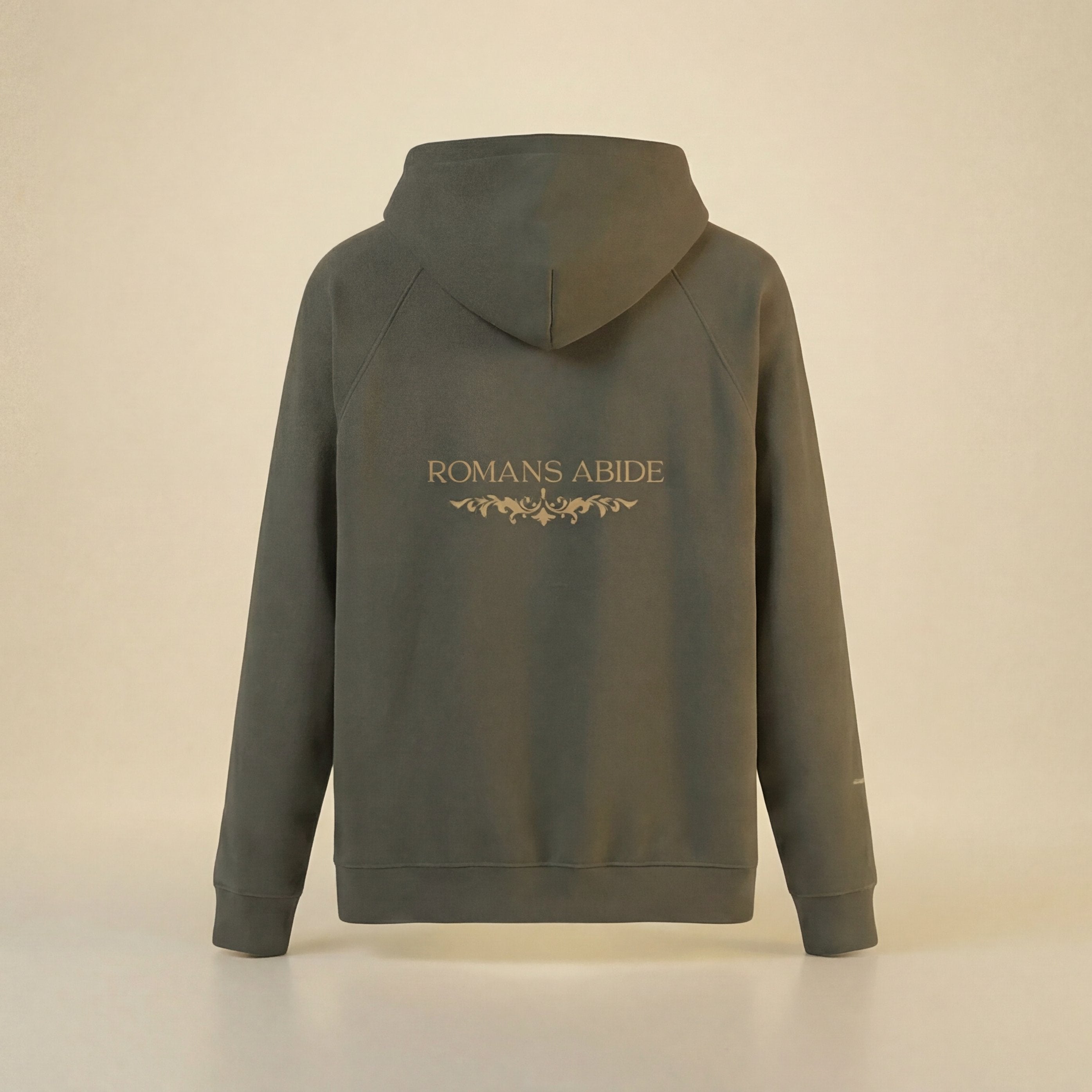 Brushed Hoodie with Romans Abide Signature