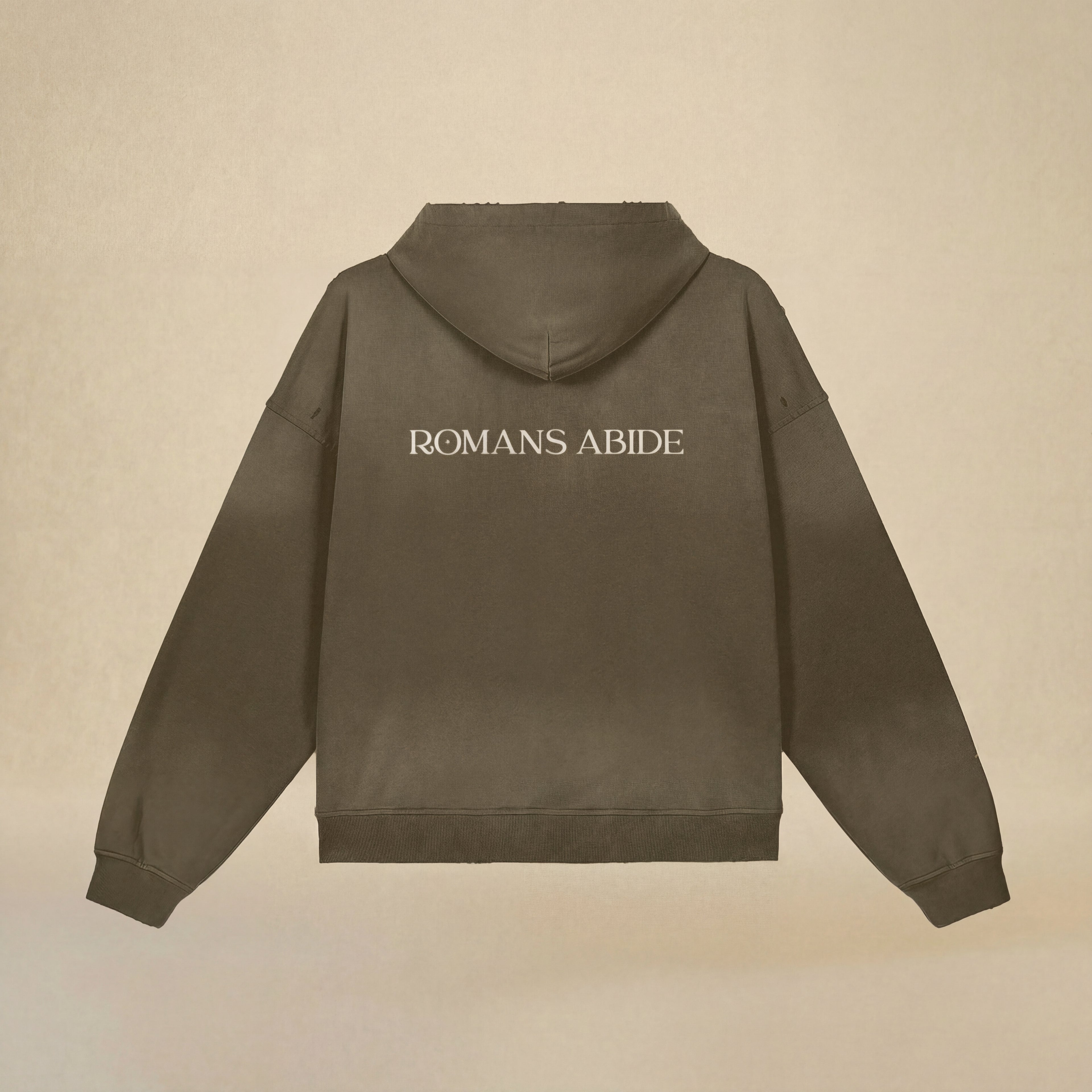 Oversized Hoodie with Romans Abide Signature